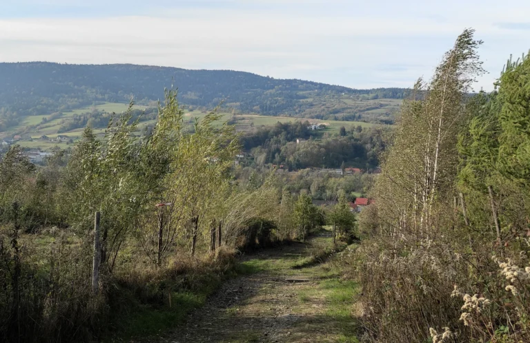 Relaksatorium Beskid Niski Okolica